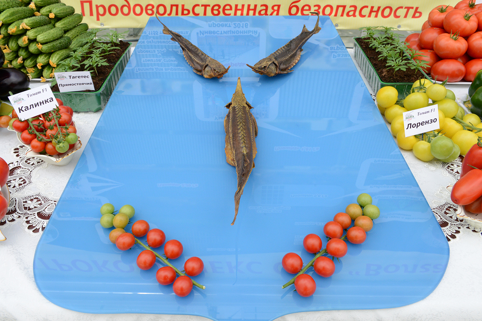 саратовский герб из вкусной рыбы